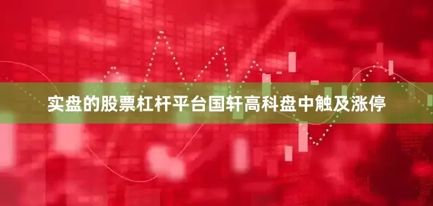实盘的股票杠杆平台国轩高科盘中触及涨停