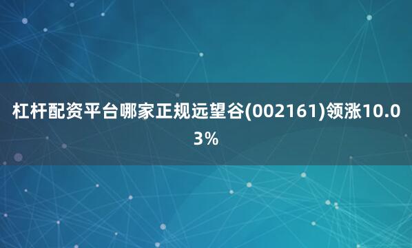 杠杆配资平台哪家正规远望谷(002161)领涨10.03%